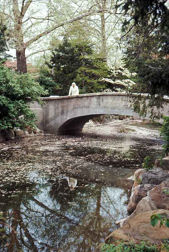 My mother, Rose; Taylor Park, Millburn, 1980.