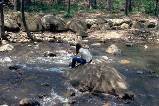 Katherine; Rahway Brook, Millburn, 1986.