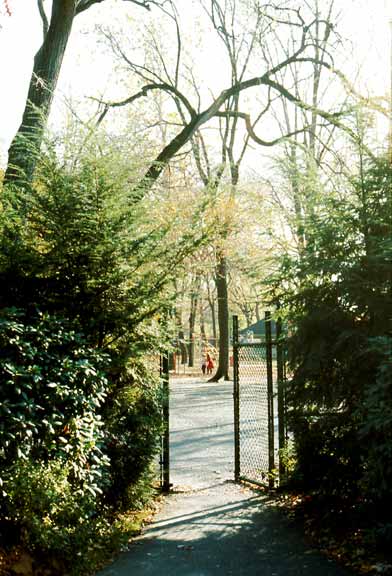 My childhood playground; Taylor Park, Millburn, 1995.